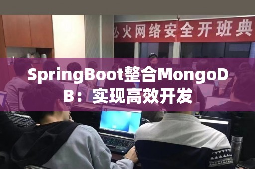 SpringBoot整合MongoDB：实现高效开发