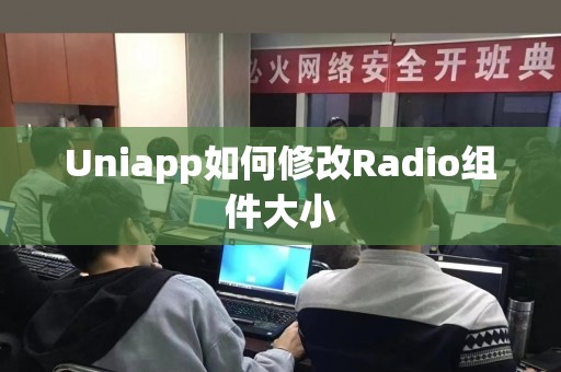 Uniapp如何修改Radio组件大小